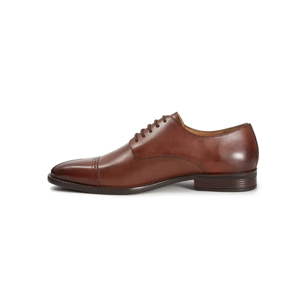 Derbies Edward - Marron